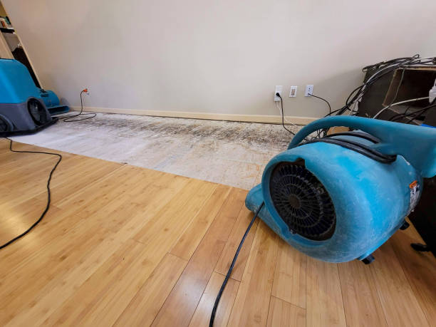 Professional Water Damage Repair technician working in Strongsville, OH